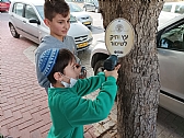ט"ו בשבט תשפ"ב: מיזם עירוני לשימור עצים ותיקים בעיר