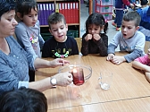 גן "סתיו"