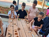תכניות לימודים והעשרה ייחודיות בבתי הספר תשפ"ג