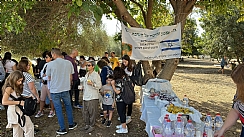 עפיפונים של תקווה