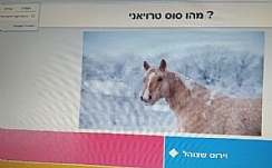 פעילות נבחרת "מנהיגוטק" בבי"ס בארי בשבוע גלישה בטוחה ברשת