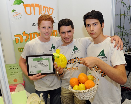 חברי הקבוצה