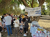 עפיפונים של תקווה