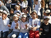 "כך הולכים השותלים"