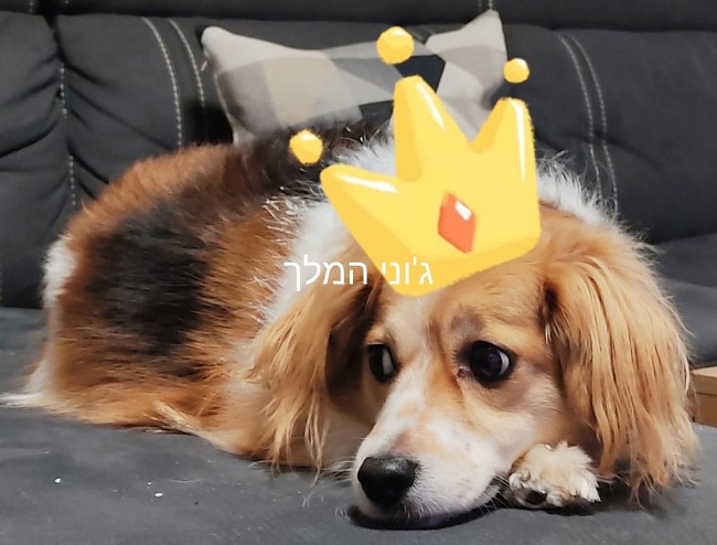 חוגי העשרה בבי"ס תרבות